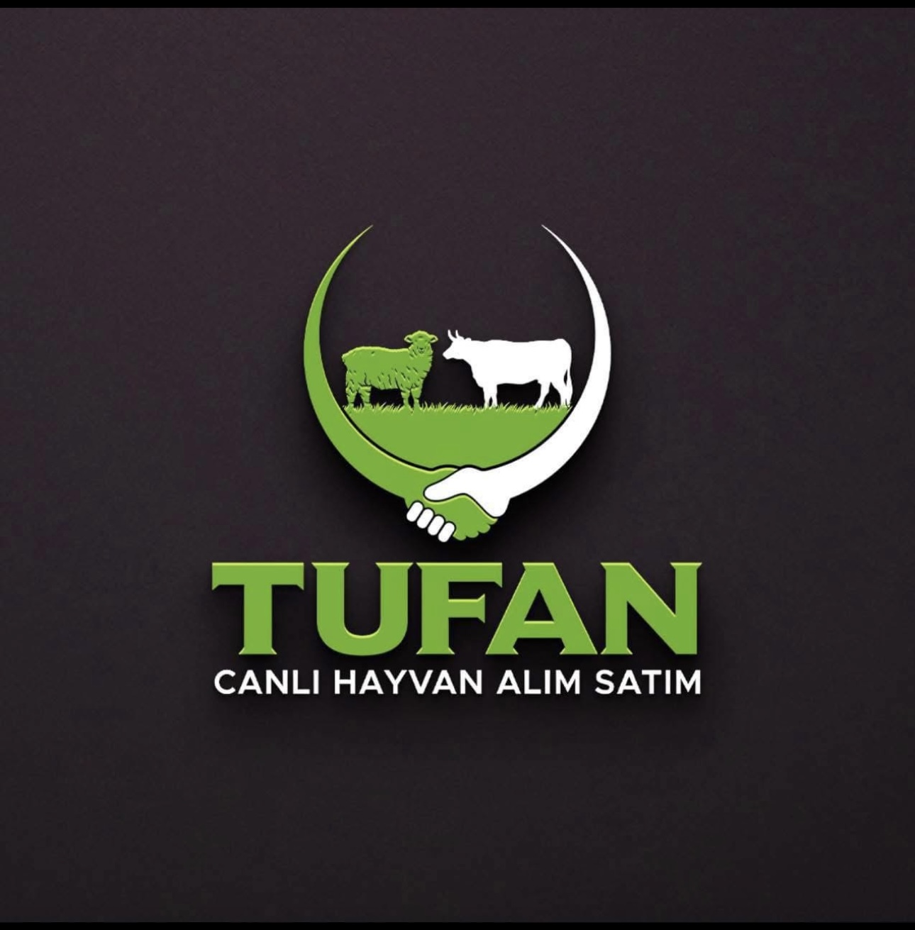 Tufan Canlı Hayvan Alım Satım – Kurbanlık ve Adaklık Çiftliği Tekirdağ Muratlı